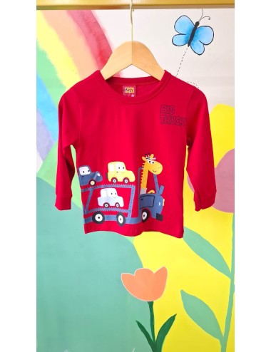 Camiseta Infantil Manga Longa Big Truck 🚛🐾
