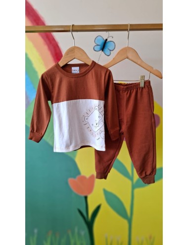 Conjunto Infantil Menino Leãozinho Verde com Punho