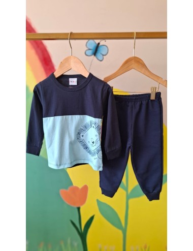 Conjunto Infantil Menino Leãozinho Verde com Punho