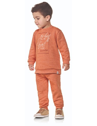 🦖 Conjunto Infantil Moletom Peluciado - Estampa Puff de Dinossauro 🦖